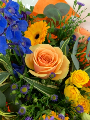Beautiful Brights