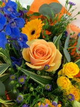 Beautiful Brights